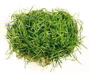Ostergras 3