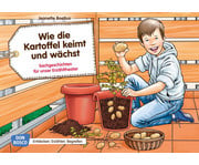 Kamishibai Bildkarten Wie die Kartoffel keimt und wächst 1