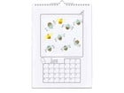 Betzold Bastelkalender blanko