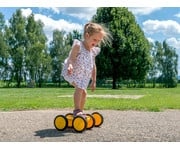 Betzold Maxi Roller 6