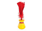 Indiaca