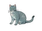 Vocabular Wortschatzbilder: Tiere Pflanzen Natur