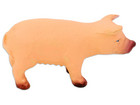 Betzold Schwein oder Ferkel Naturkautschuk