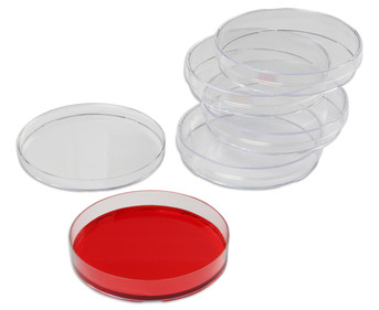 Betzold Petrischalen aus Kunststoff 5 Stück