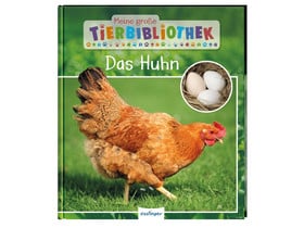 Buch: Das Huhn