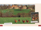 Buch: Das Huhn