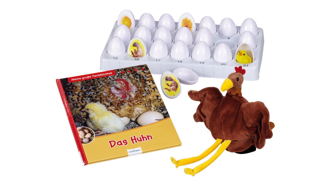 Daggis Set zum Lebenszyklus Huhn