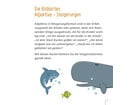 Bildkarten zur Sprachförderung: Adjektive: Steigerungen