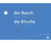 Mein Körper Sprachförderung mit Bildkarten 5