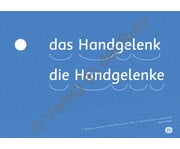 Mein Körper Sprachförderung mit Bildkarten 7