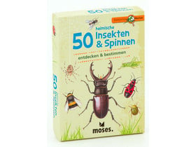 Expedition Natur 50 heimische Insekten & Spinnen