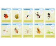 Expedition Natur 50 heimische Insekten & Spinnen 3