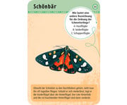 Expedition Natur – 50 heimische Schmetterlinge 3