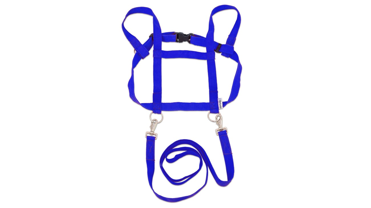 Betzold Pferdegeschirr für Kinder, Farbe: blau