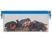 Betzold Waldtiere Set 10 tlg 7