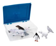 Betzold Arktische und antarktische Tiere 6 teilig 5