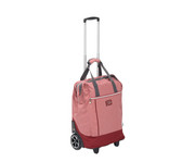 Allrounder Trolley Punta Big Wheel 5