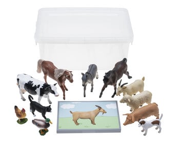 Betzold Tiere zuordnen