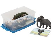 Betzold Tiere zuordnen 4