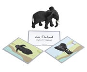 Betzold Tiere zuordnen 7