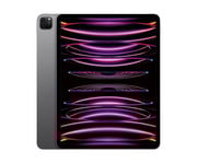 Apple iPad Pro (2022) 1