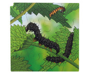 Lebenszyklus Puzzle 3