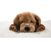 Therapeutische Tiere 6