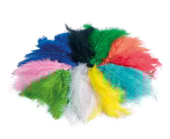 Flauschfedern Mix 100g farbig sortiert
