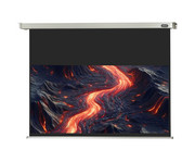 Motorleinwand Professional 5