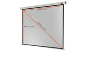 Motorleinwand Professional 4