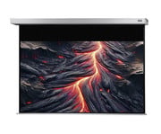 Motorleinwand Professional Plus 7