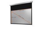 Motorleinwand Professional Plus