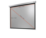 Motorleinwand Professional Plus 3