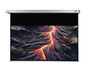 Motorleinwand Professional Plus 5