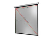 Motorleinwand Professional Plus 5