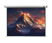 Leinwand Professional 5
