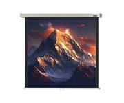 Leinwand Professional 2