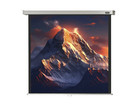 Leinwand Professional