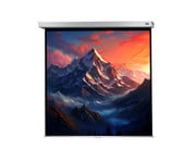 Leinwand Professional Plus 2