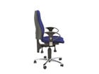 Topstar Bürostuhl Sitness 10 mit Armlehnen