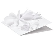 Fotokarton 300 g/m² DIN A4 50 Blatt Einzelfarben 5