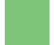 folia Fotokarton 300 g/m² DIN A4 50 Blatt einer Farbe 6