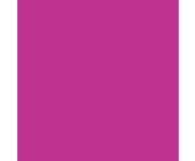 folia Fotokarton 300 g/m² DIN A4 50 Blatt einer Farbe 4