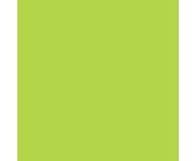 folia Fotokarton 300 g/m² DIN A4 50 Blatt einer Farbe 2
