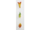 folia Regenbogen Fotokarton 300 g/m² 50 x 70 cm 10 Bogen