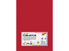 Tonkarton 160 g/m² DIN A4 500 Blatt 10 Farben