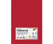 folia Tonkarton 160 g/m² DIN A4 500 Blatt 10 Farben 1