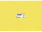 Tonkarton 220 g/m² 50 x 70 cm 100 Bogen 10 Farben