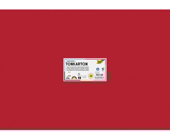 Tonkarton 160 g/m² DIN A2 125 Bogen 10 Farben