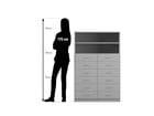 Flexeo® Schrank 12 kleine Schubladen 2 Fächer